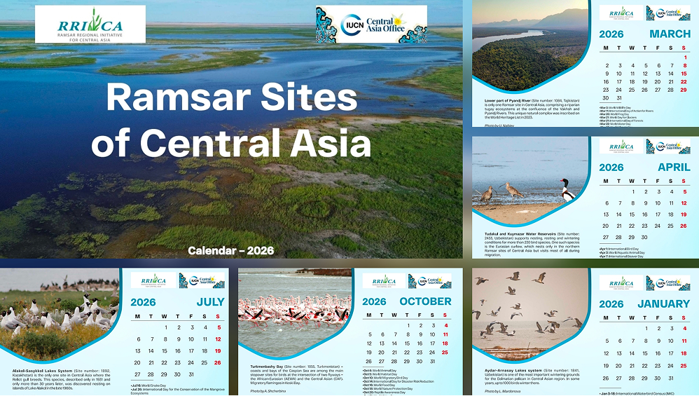 Календарь 2026