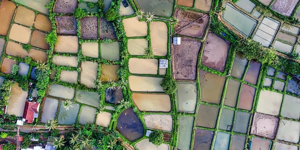 Agricultural wetlands